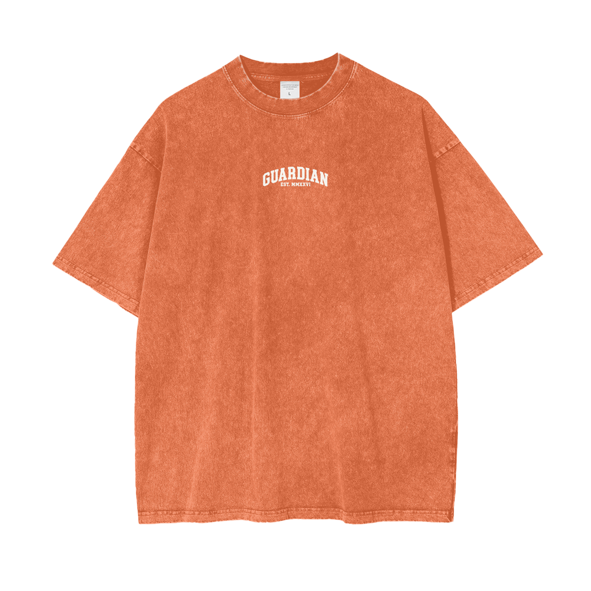 Guardian Collegiate Oversized Washed Tee
