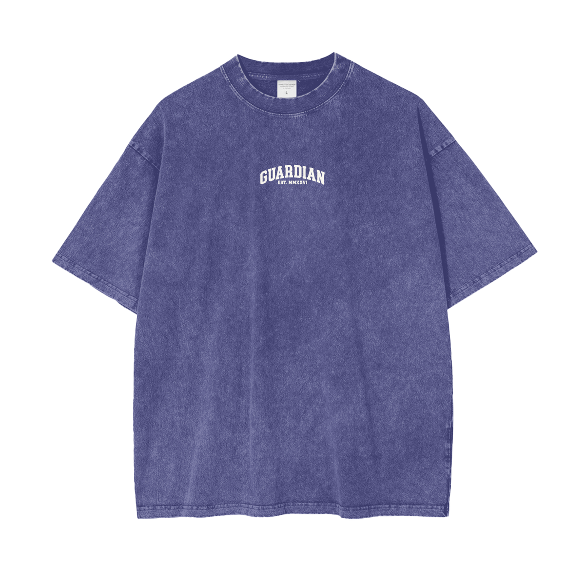 Guardian Collegiate Oversized Washed Tee